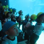 IMG_1713