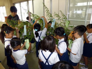 岸和田市立大宮幼稚園