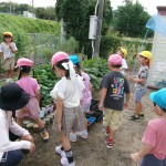 KODAK Digital Still Camera