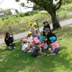 KODAK Digital Still Camera