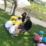 KODAK Digital Still Camera