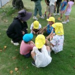 KODAK Digital Still Camera