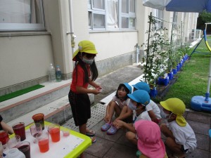 IMG_8049