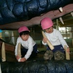 KODAK Digital Still Camera