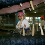 KODAK Digital Still Camera