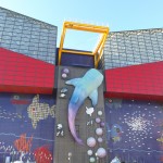 KODAK Digital Still Camera