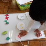 KODAK Digital Still Camera