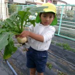 KODAK Digital Still Camera