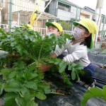 KODAK Digital Still Camera