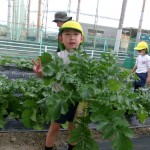 KODAK Digital Still Camera