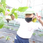 KODAK Digital Still Camera