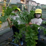 KODAK Digital Still Camera