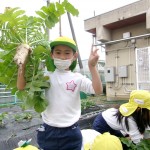 KODAK Digital Still Camera