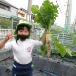 KODAK Digital Still Camera