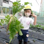 KODAK Digital Still Camera