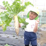 KODAK Digital Still Camera