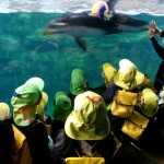 KODAK Digital Still Camera