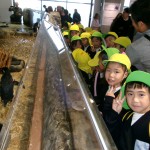 KODAK Digital Still Camera